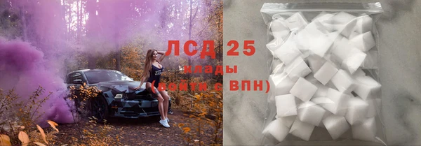 стафф Пролетарск