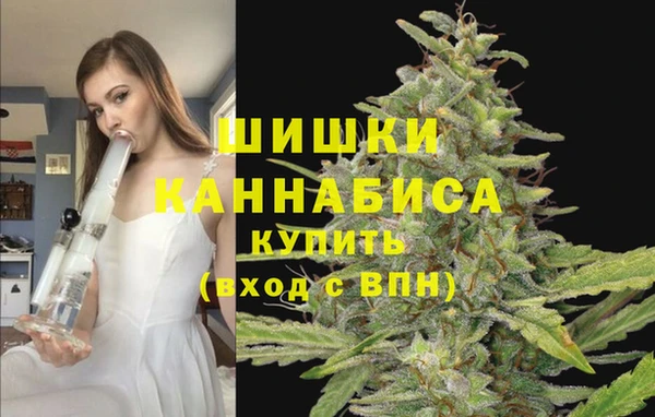 прущая мука Протвино