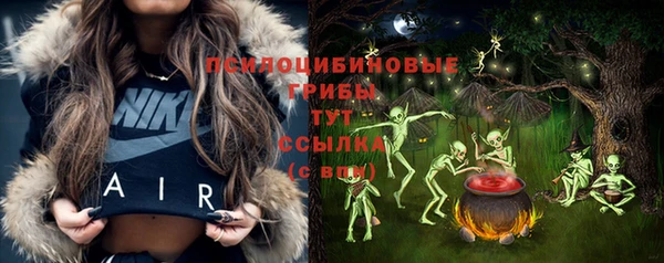стафф Пролетарск