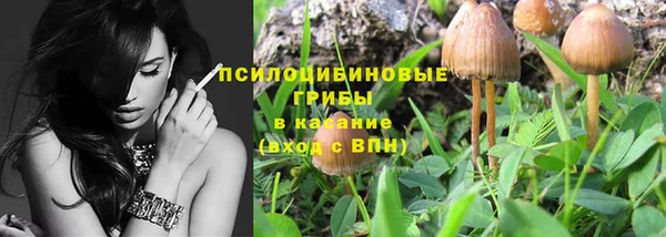 прущая мука Протвино