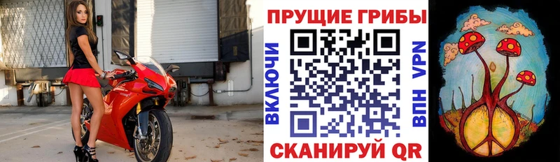 блэк спрут как войти  Белёв  Псилоцибиновые грибы мухоморы 